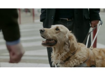 Partout avec mon chien guide - ANMCGA